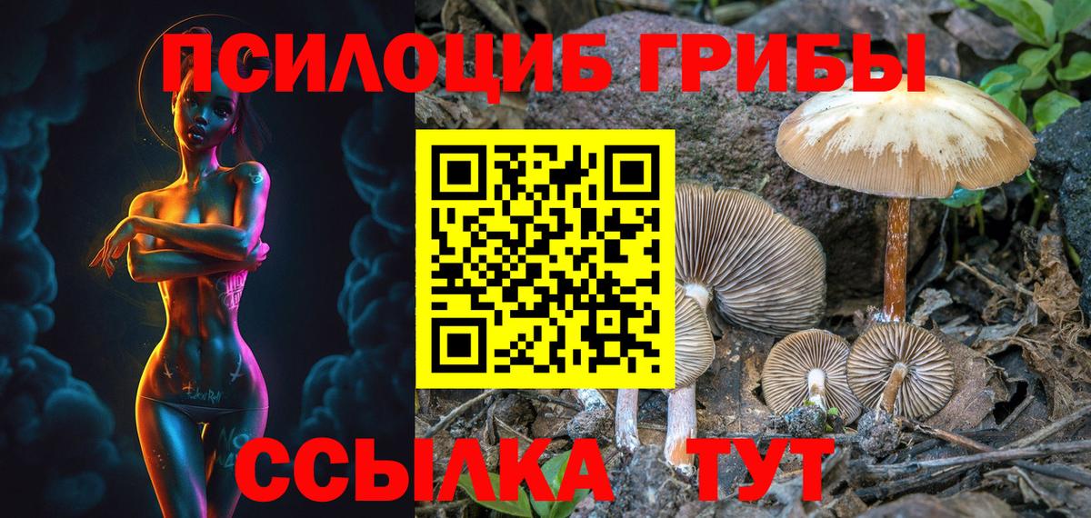 Полевской  закладка  Вход с VPN  Галлюциногенные грибы мицелий 